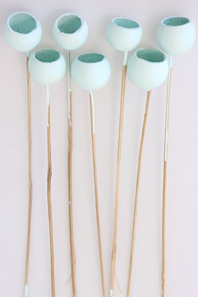 Yapay Çiçek Deposu Cupă decorativă Bell Cup Dimensiune medie 7 bucăți dovleac natural albastru ușor