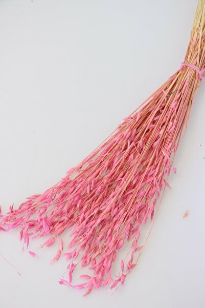 Yapay Çiçek Deposu Kuru Çiçek Yulaf Otu Demeti 50 Cm Pembe