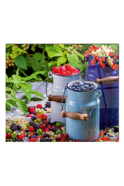 Olinpa 76X49,5 cm Red Fruits - Glass Stove and Countertop Back Protector