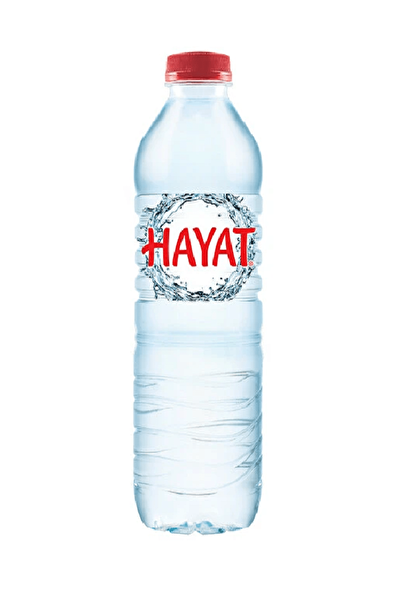 Hayat Su 0,5 Lt