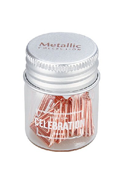 Pyrus مشبك ورق مثلث الشكل صغير الحجم Sc400501 /