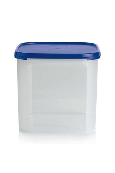 Tupperware 4 Lt Oval Modular Dry Food Storage Container - Hsgl