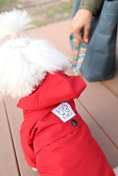 Oli and Lui KIRMIZI Köpek Yağmurluğu