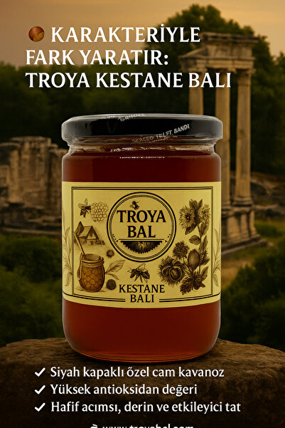 TROYA ARICILIK GIDA Troya Kestane Balı 850 g