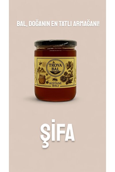 TROYA ARICILIK GIDA Troya Kestane Balı 850 g
