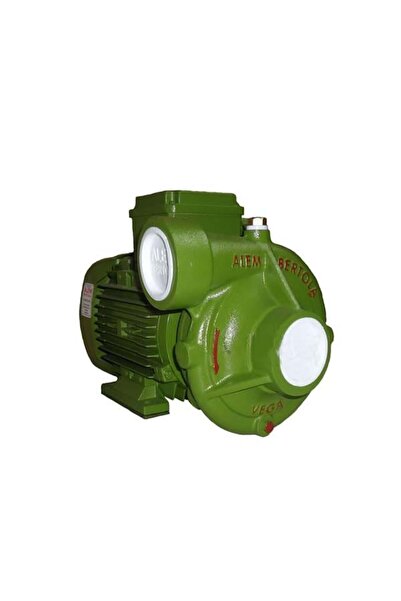 AlemBertola Alem Bertola Vega 1,5HP Monofaze Santrifüj Pompa