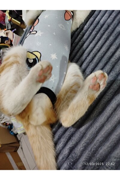 Winnie The Pet Ameliyat sonrası kedi tulumu S-M-L-beden