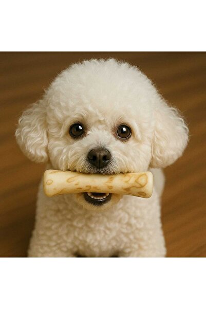 Kaju Kids Zeytin Ağacı Çiğneme Oyuncağı (Kedi ve Köpek)