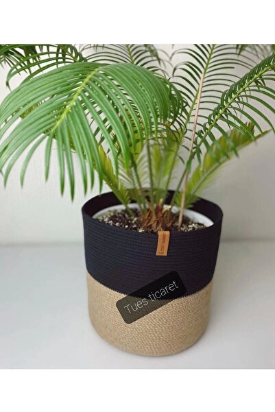 Hediyeninellitonu Регулюючий кошик або піддон