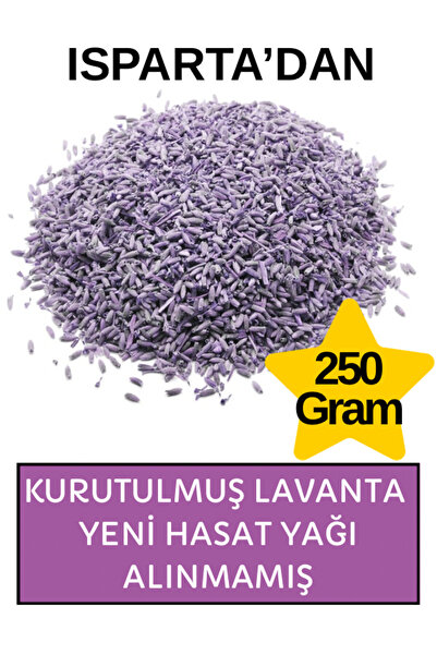 Lavendrose Lavanta Kurusu 250 gr Yeni Hasat Organik Lavanta Kurusu Yağı Alınmamış Yoğun Kokulu kuru lavanta
