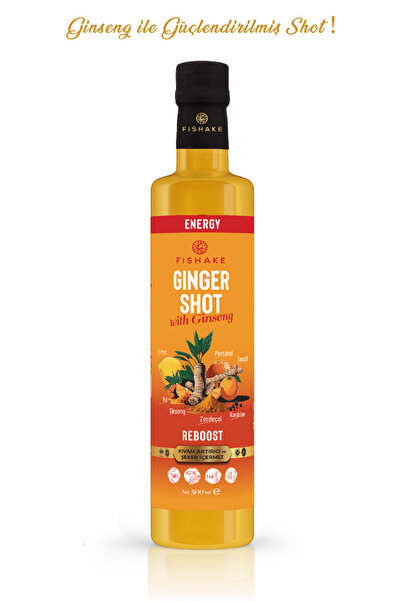 FiShake Ginger Shot & Ginsengli / Zencefil Shot 500 ml