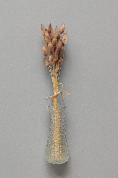 ÇINARASYADAHOME Buchet de iarbă naturală uscată de coadă de iepure de culoare gri 1 buchet (40 ramuri)