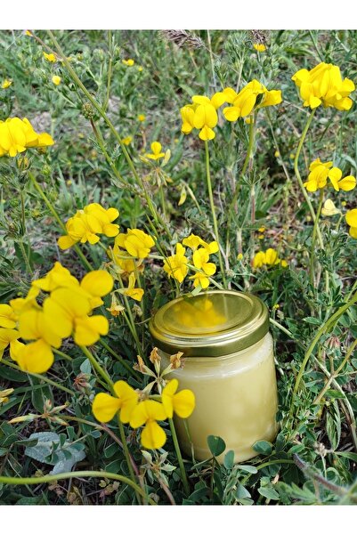 Bazirgan Dermandar %100 Doğal Kuyruk Yağı Kremi 210 ml