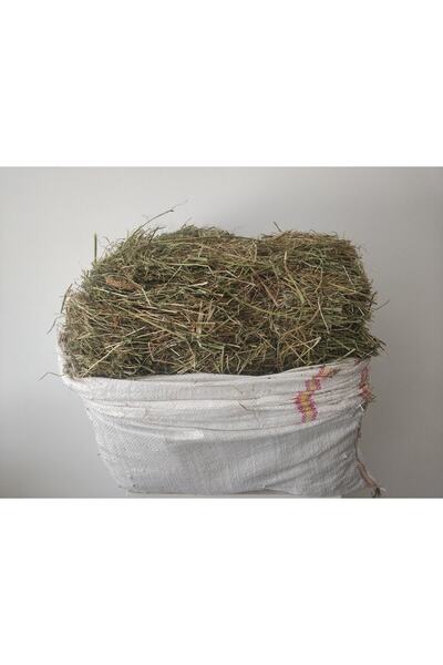 YONCASPLUS 3kg Kuru Yonca Otu, Kemirgen Otu (CHİNCHİLLA, TAVŞAN, GİNEPİG, HAM...