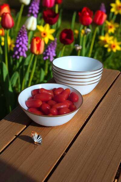 IKEA Oftast 6-Person Gilded Bowl - 15 cm