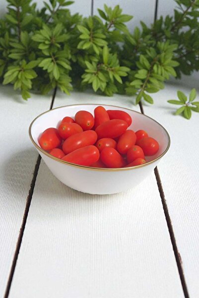 IKEA Oftast 6-Person Gilded Bowl - 15 cm