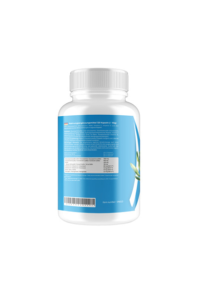 VITASIGN Glucosamine & Chondroitin with MSM, 120 Capsules – Joint Health & Mobility Support
