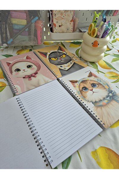 Crow Notebook A5 (14x21cm) Kedi Serisi Spiralli Okul Defteri 80 yaprak 4'lü Set - Çizgili