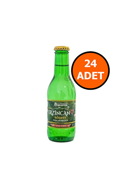 bögert Erzincan Bögert Maden Suyu 200 Ml x 24 Şişe