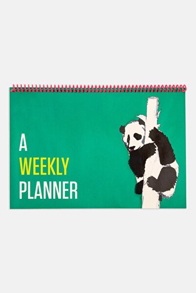 PK Design Contrasting Set Weekly Planners: Green