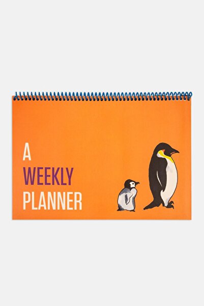 PK Design Orange Contrasting Weekly Planner Set