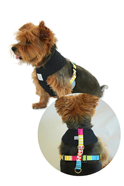 Oli and Lui Color Therapy Denim Köpek Göğüs Tasması – Mesh Astar