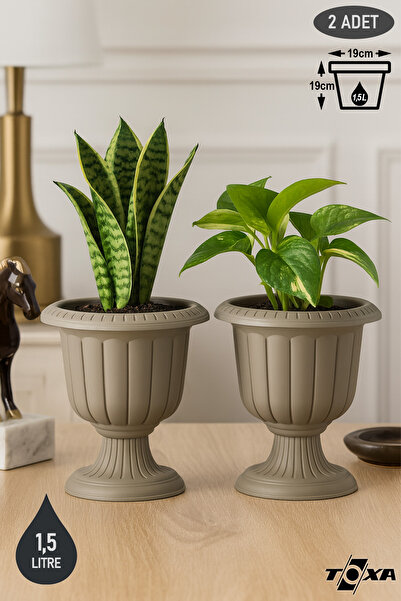 ToXA 2 Adet Nergis Saksı 19cm Ayaklı Plastik Deliksiz Çiçek Saksısı