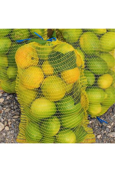 Genel Markalar 24x48 File Çuval Limon Filesi (25 ADET) Limon Ceviz Fındık Çuvalı Çok Amaçlı Boş Çuval