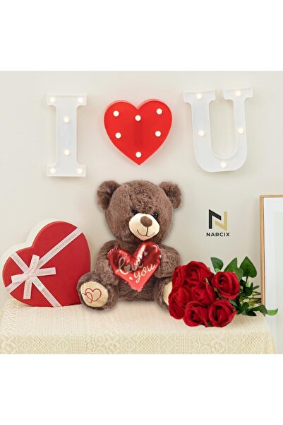 OEM Brown teddy bear with red heart "Love You", 24x17x25 cm