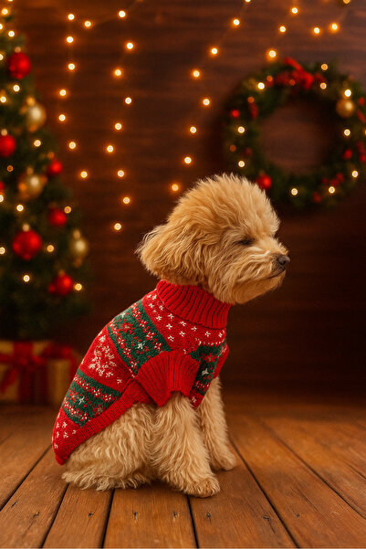 faramiss fashion köpek kedi kıyafeti KIRMIZI Simli Yılbaşı kazağı FaramissFashion köpek kedi kıyafeti