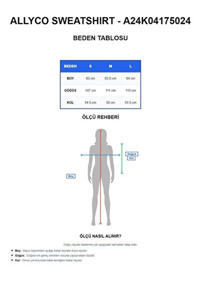 Allyco High Collar Oversize Sweatshirt