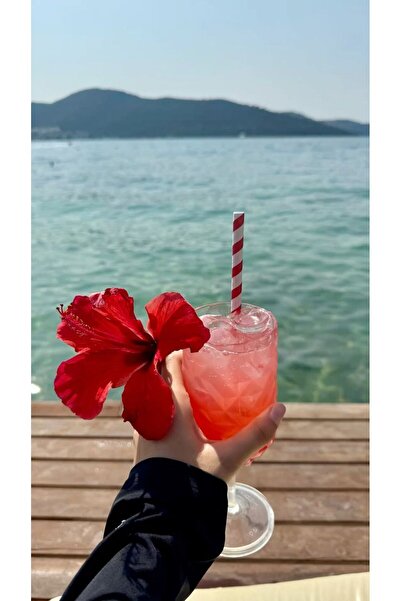 Kraft Kırmızı Çizgili Beyaz Kağıt Pipet 6mmx19,7cm 50 Adet