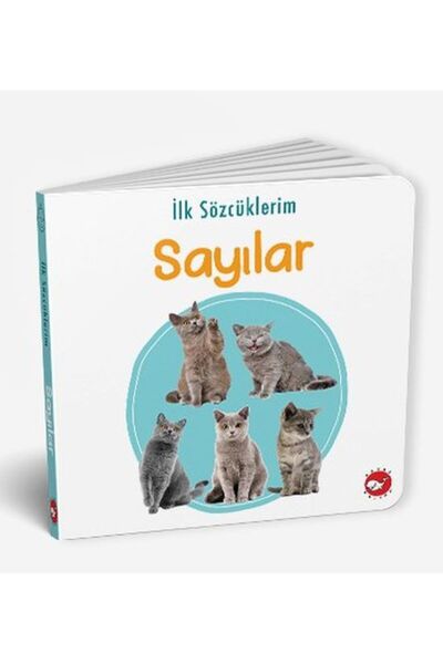 Beyaz Balina Yayınları CLZ404 İlk Sözcüklerim - Sayılar