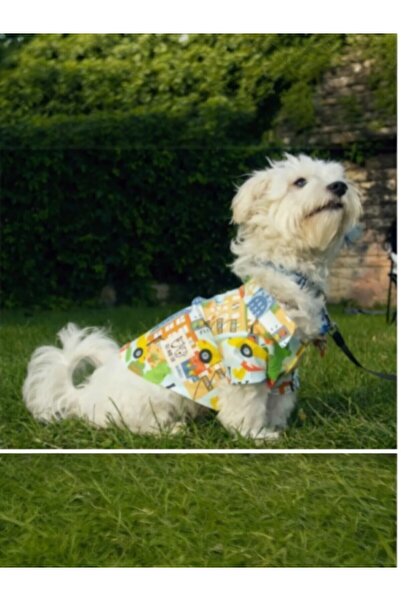 Oli and Lui New York Patterned Dog Shirt