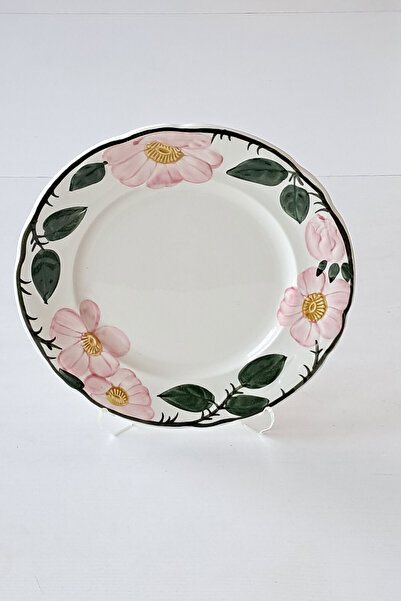 Villeroy & Boch Wild-Rose Hand Painting Antique Porcelain Pasta Plate Dark Green