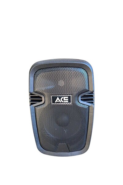 ACE AUDIO 8 INCH ŞARJLI AKTİF KABİN