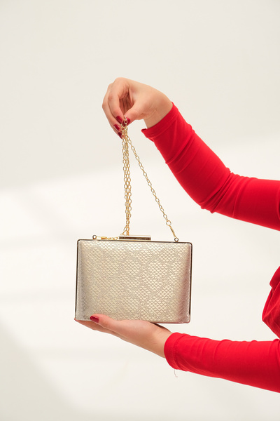 ROZA CANTA Gold Snake Women's Evening Dress Night Portfolio Bag