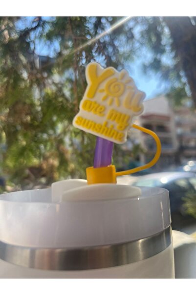 IGN Termos Uyumlu Aksesuar/ MOTTOLU Pipet Koruyucu/Pipet Kılıfı/ Pipet Tıpası