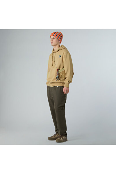 THE NORTH FACE M MOUNTAIN LOGO RELAXED HOODED SWEATSHIR