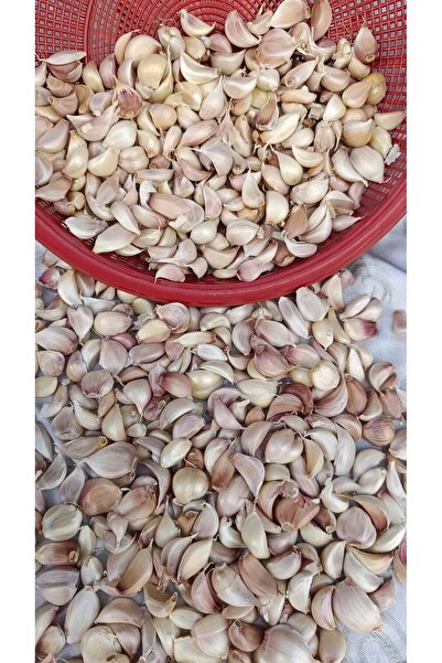 Efesarımsak37 DİŞLENMİŞ TAŞKÖPRÜ SARIMSAĞI 500 GR