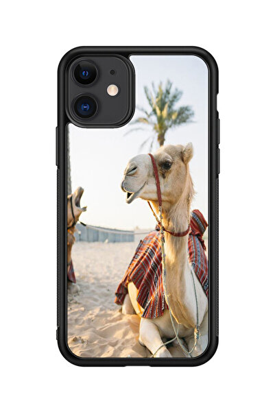 no markte كفر ايفون 11 متعدد الألوان