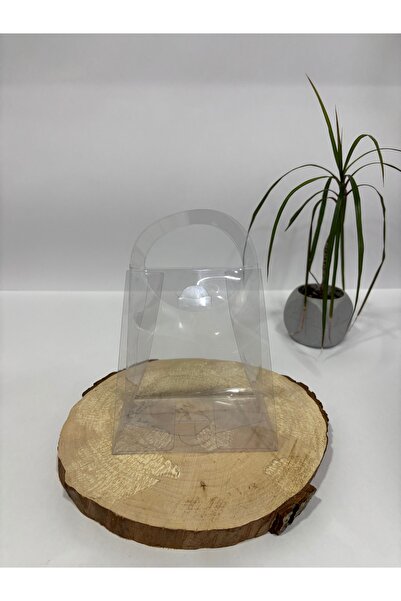 BURHAN AMBALAJ 12.5x7x14 Asetat Çanta [10 Adet ] Demonte