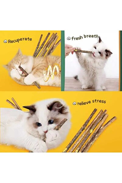 TİNEKE Natural Matatabi Cat Chew Stick 10 Pieces 15 mm Thick