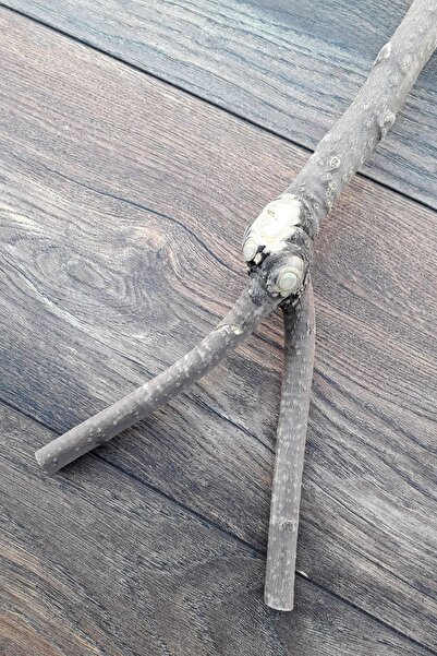 Vixpet Venty 39 cm Natural Parrot Perch Sultan, Monk, Lori, Conure, Senegal, Lovebird, Budgie, Forpus T229