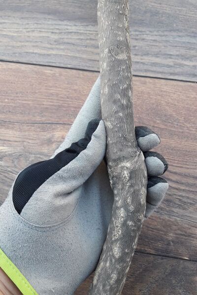 Vixpet Venty 38.5 cm Natural Parrot Perch |   Jako, Amazon, Sultan, Monk, Lori, Konur, Senegal Fx122