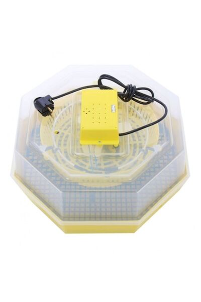 Cleo Egg Incubator 5, Capacity 60 Eggs