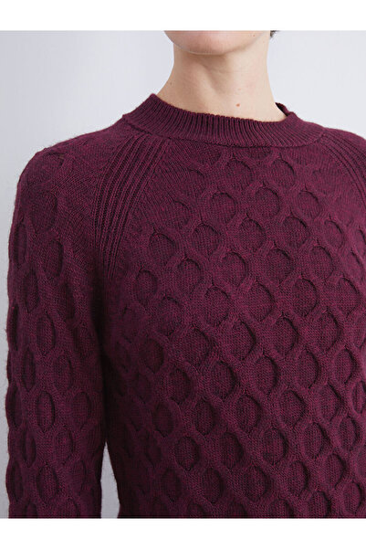 LC Waikiki Sparkling Choices from Shining Store | Crew Neck Self Patterned Women's Knitwear Sweater