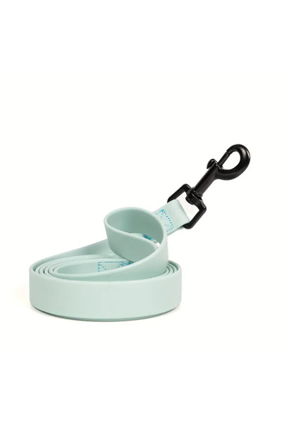 Choice L light green Waterproof Dog Leash Adjustable Quick Release Buckle Collar Leash for Small Medium Lar