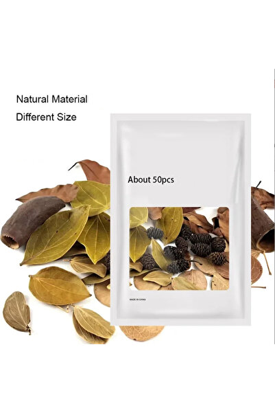 Choice about 12cm Leave and shell 02 About 50pcs Natural Leaf Aquarium Filter...