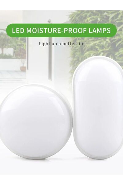 Choice Cold White Oval 20W 16W 20W Outdoor LED Wall Lamp Garden Porch Surface Mounted Oval Sconce Lighting